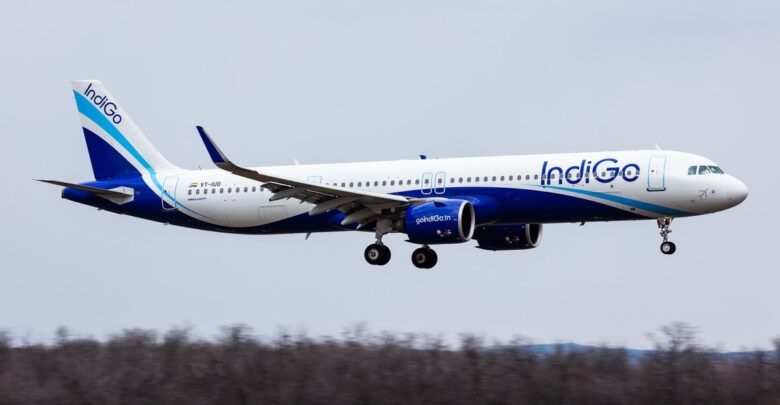 WhatsApp Image 2025-12-11 at 13.25.47_aafa7a0d