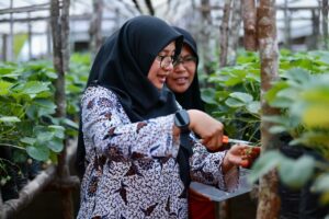 jbeqcevtjo_whatsapp-image-2025-12-09-at-161744