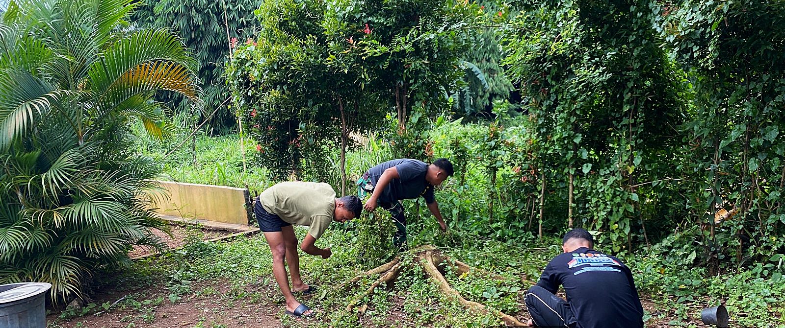 48ba9f17-dee9-475f-95b5-c5cd72446c08