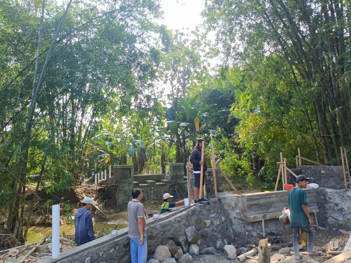 56fbec4f-347f-490f-8ed6-ea506a9f468b